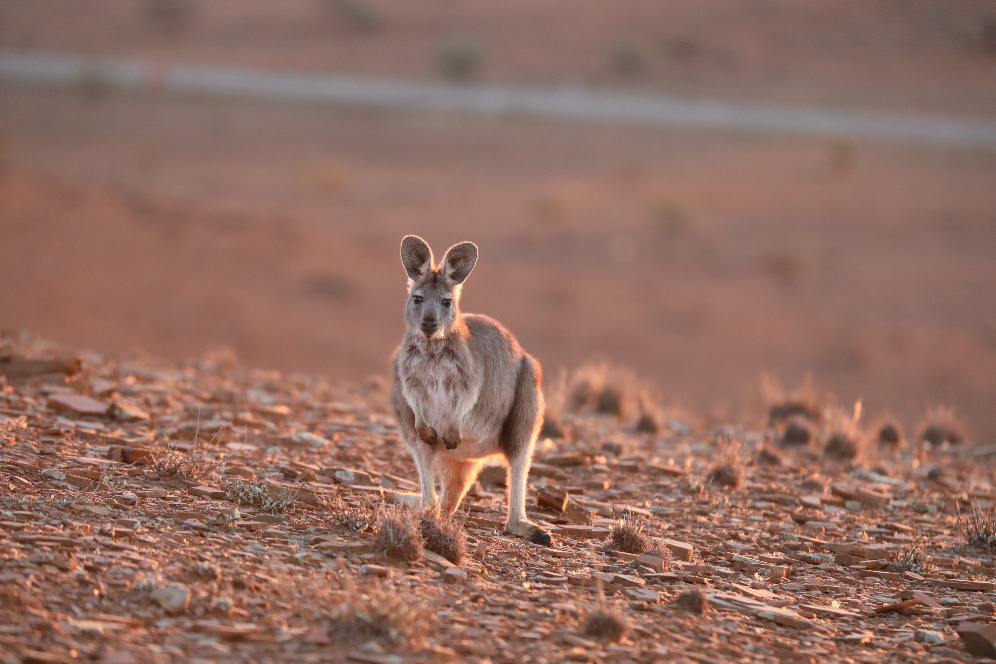 2019 09 01 17 54 56 Canon EOS 5D Mark IV 0015